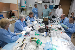 The international team of researchers worked out of a Moscow laboratory. Courtesy of Michael Delp