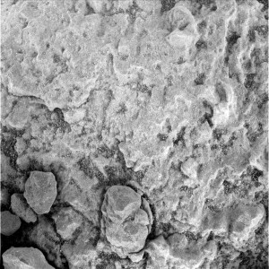 Microscopic Imager Sol 4071. Credit: NASA/JPL