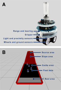 Credit: Ferrante et al.