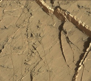 Curiosity Mastcam Right image taken on Sol 1274, March 7, 2016. Image Credit: NASA/JPL-Caltech/MSSS 