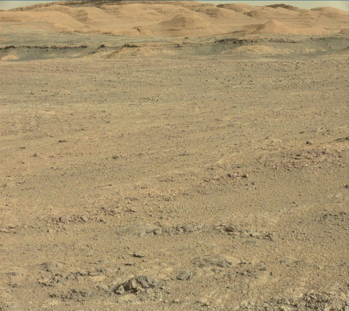 Curiosity Collage: At Work on Mars